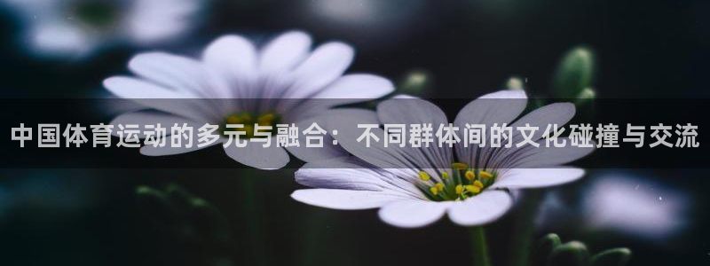 球王会体育