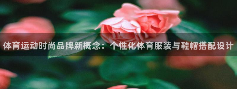 球王会体育