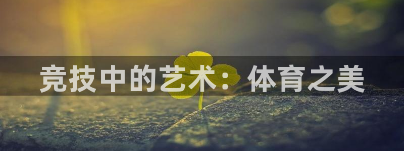 球王会体育