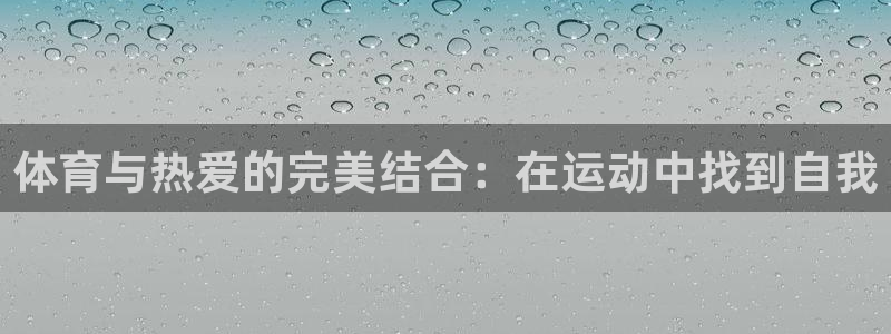 球王会体育