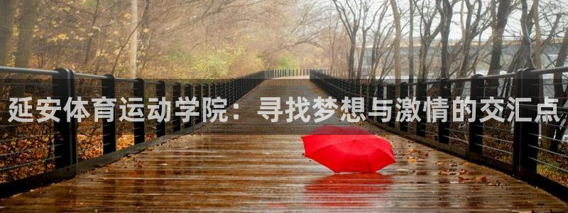 球王会体育