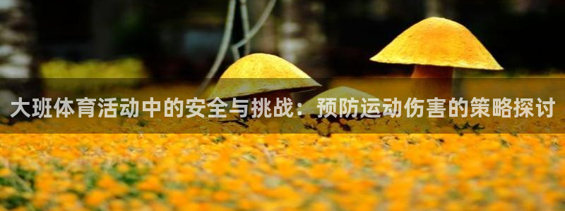 球王会体育