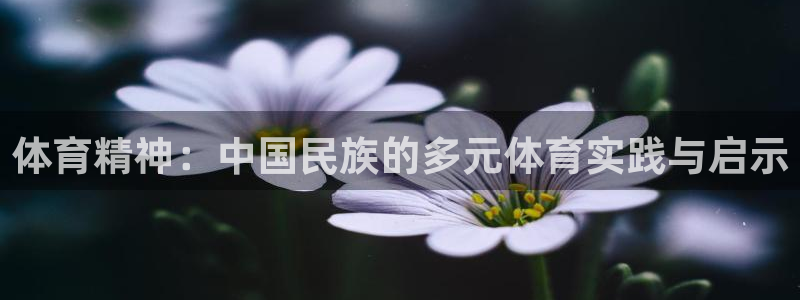 球王会体育