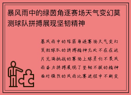 暴风雨中的绿茵角逐赛场天气变幻莫测球队拼搏展现坚韧精神