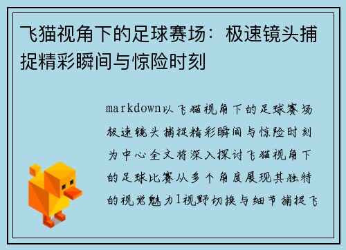 飞猫视角下的足球赛场：极速镜头捕捉精彩瞬间与惊险时刻