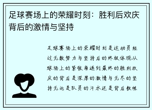 足球赛场上的荣耀时刻：胜利后欢庆背后的激情与坚持