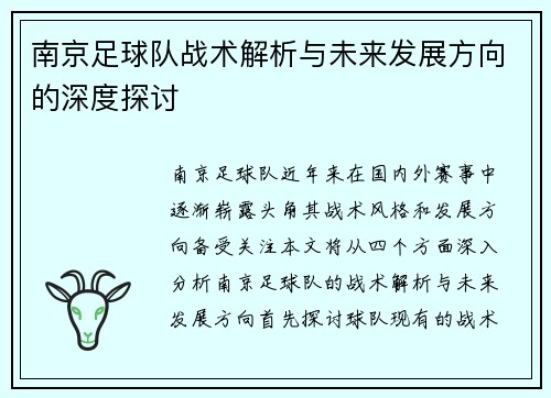 南京足球队战术解析与未来发展方向的深度探讨