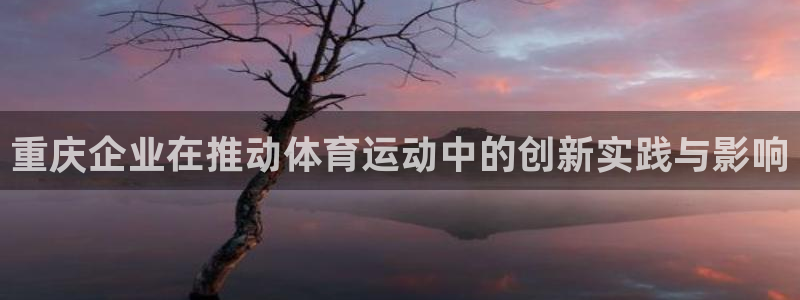 球王会体育