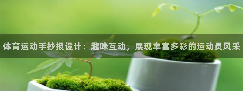 球王会体育