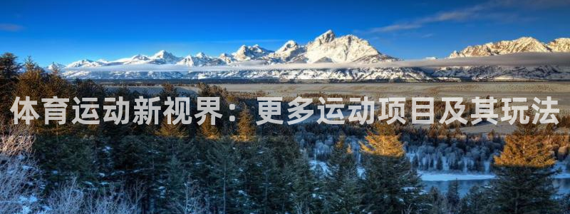 球王会体育