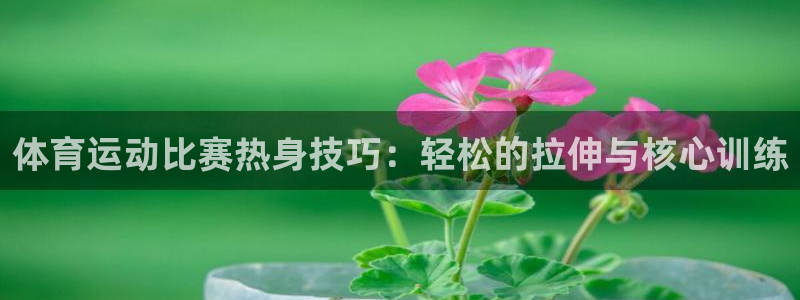 球王会体育