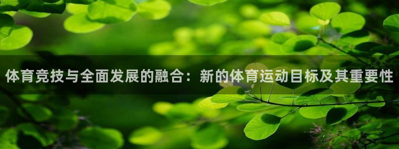 球王会体育