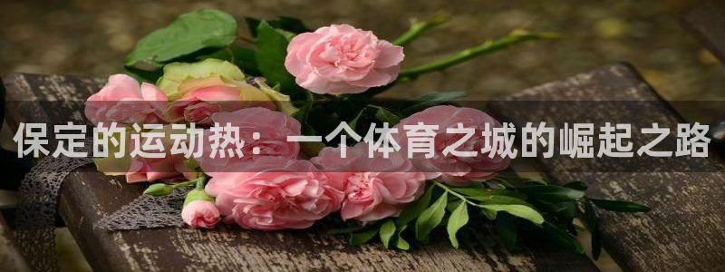 球王会体育