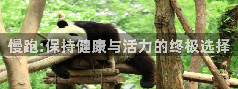 球王会体育