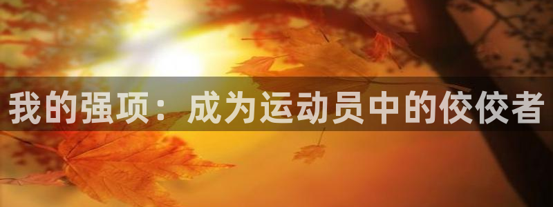 球王会体育