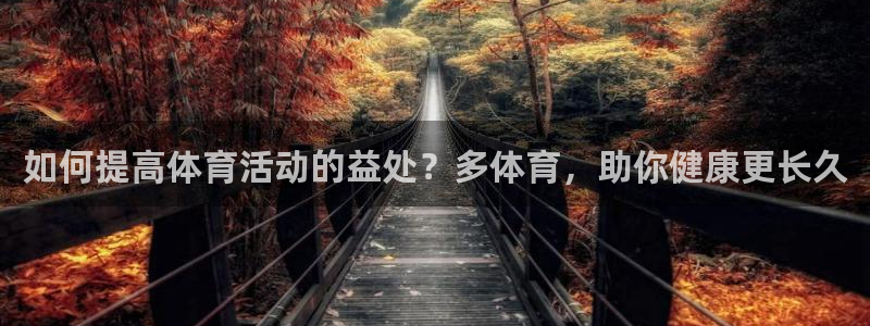 球王会体育