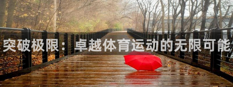 球王会体育