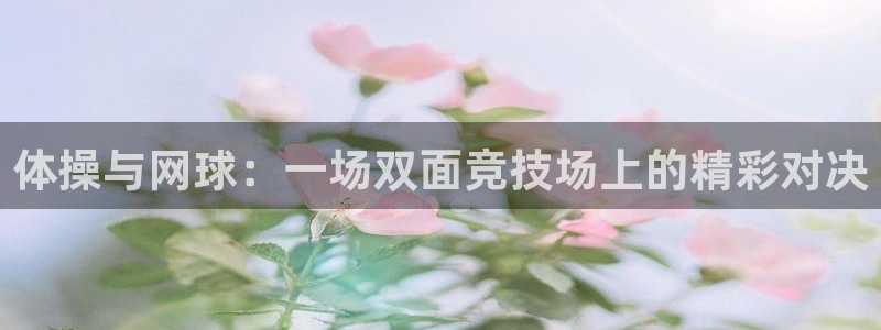 球王会体育